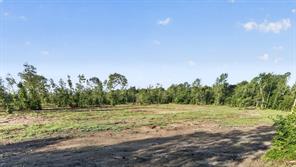 TBD 21 Acres CR 3116 - Photo 5