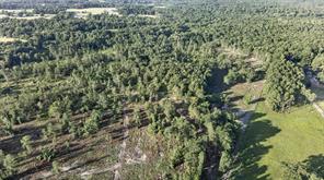 TBD 21 Acres CR 3116 - Photo 6