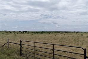 2862 Farm Market 1702 - Photo 3