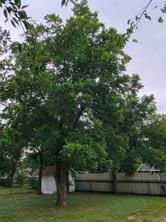 3513 BlueBird Street - Photo 4