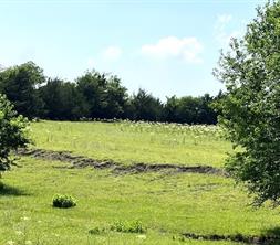 TBD CR 663 - Photo 21