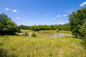 TBD CR 663 - Photo 6