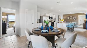 541 STERLING THICKET Lane - Photo 10