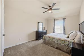 4222 Nia Drive - Photo 21