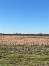 tbd County Road 1240 - Photo 1