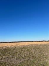 tbd County Road 1240 - Photo 6