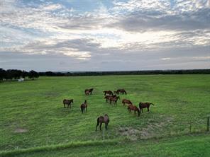 951 FM 1476 - Photo 31