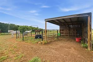 660 County Road 127 - Photo 35