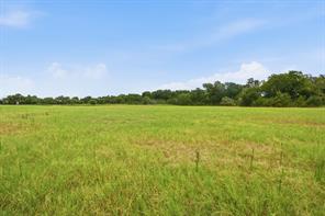 660 County Road 127 - Photo 39