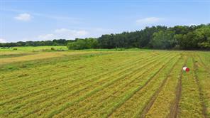 660 County Road 127 - Photo 9