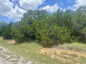 25058 Forrest Drive - Photo 1