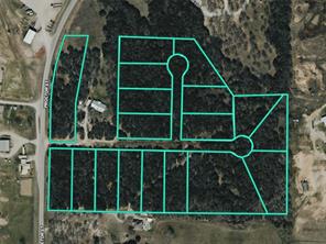 TBD FM 1655 Trail - Photo 1