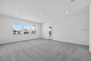 1608 Cedarberry Drive - Photo 18