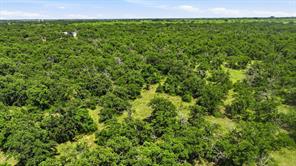 TBD County RD 581 - Photo 9
