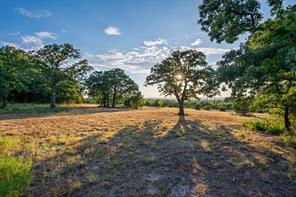 1030 Mustang Ridge - Photo 11