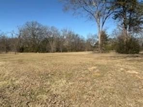 00 S FM 314 Highway - Photo 1