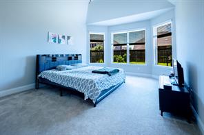 2541 Canary Grass Lane - Photo 14