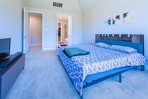 2541 Canary Grass Lane - Photo 15