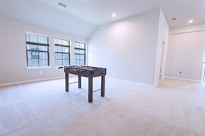 2541 Canary Grass Lane - Photo 22