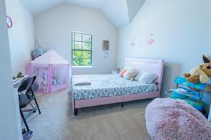2541 Canary Grass Lane - Photo 28