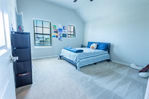 2541 Canary Grass Lane - Photo 30