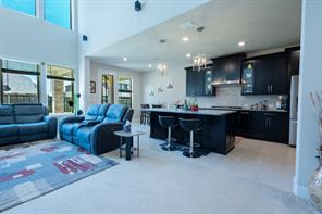 2541 Canary Grass Lane - Photo 9