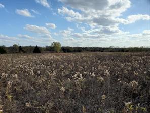 TBD Hagerman - Photo 3