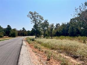 Lot 19 Fm 489 E - Photo 4