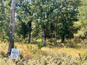 Lot 19 Fm 489 E - Photo 5