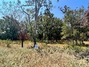 Lot 19 Fm 489 E - Photo 6