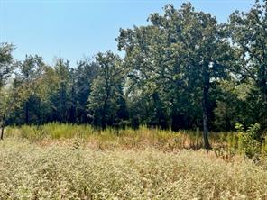 Lot 19 Fm 489 E - Photo 7