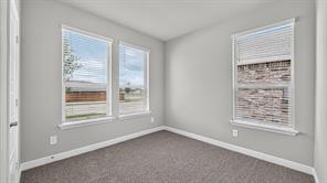133 HAWKSBILL Lane - Photo 14