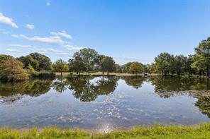 1155 Point Vista Road - Photo 15
