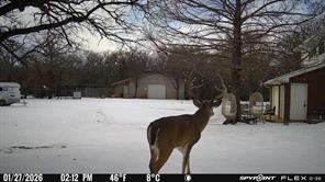 1155 Point Vista Road - Photo 38
