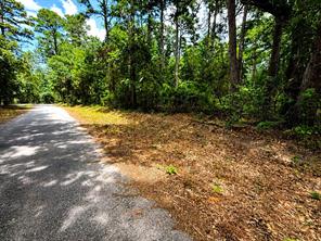 TBD Lot 4 County Road 4557 - Photo 1