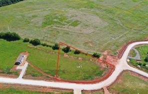 16604 Caeli Heights Court - Photo 1