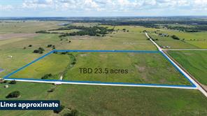 23.5 ac TBD County Road 440 - Photo 1