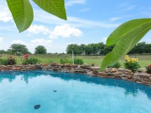 25459 Dove Hollow Drive - Photo 32