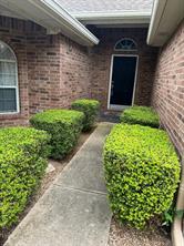 8501 Blacktail Trail - Photo 3