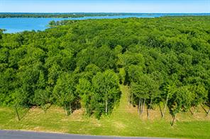 3234 Shadow Pine Drive - Photo 2