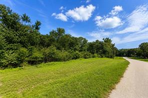 3234 Shadow Pine Drive - Photo 3
