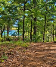 280 Roaring Fork Circle - Photo 2