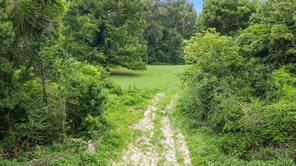 1609 County Road 3224 - Photo 12