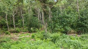 1609 County Road 3224 - Photo 13