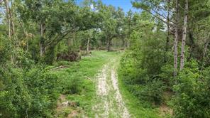 1609 County Road 3224 - Photo 19