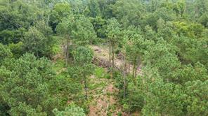 1609 County Road 3224 - Photo 24