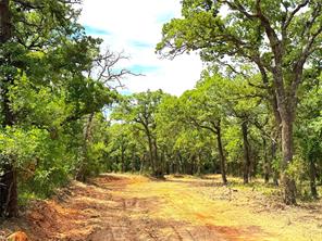 TBD Turpin Lake Road - Photo 1