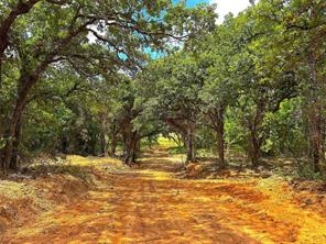 TBD Turpin Lake Road - Photo 10