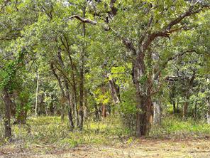 TBD Turpin Lake Road - Photo 5