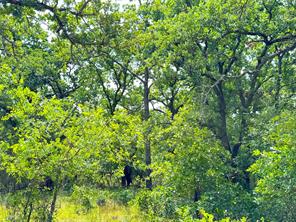 TBD Turpin Lake Road - Photo 7